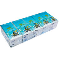 Batiste nazale 2 straturi El Capitan 10 pac